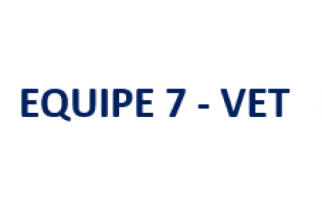 Equipe Vétéran - Mixte D1